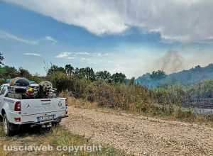 Faleria - Incendio boschivo - Protezione civile in azione
