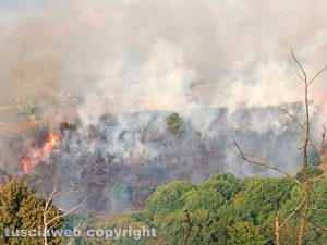 Magliano Romano - Vasto incendio, bruciano 30 ettari di terreno