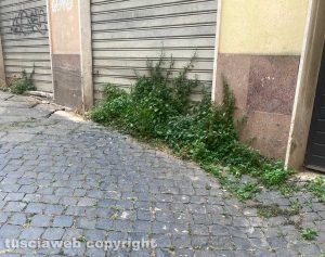 Viterbo - Lo stato di abbandono del decoro urbano in centro