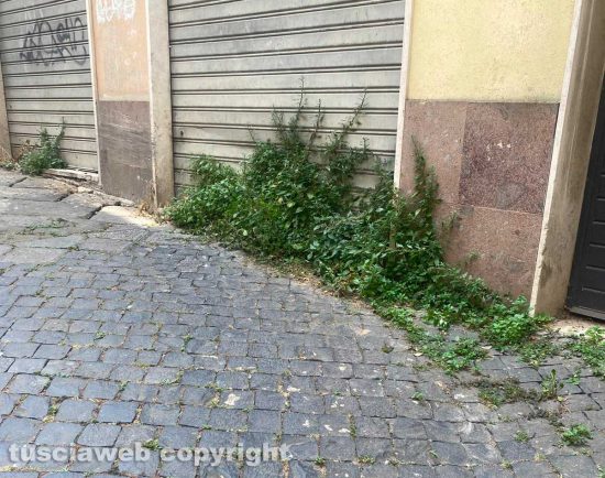 Viterbo - Lo stato di abbandono del decoro urbano in centro