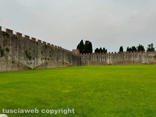Pisa - Le mura incorniciate da uno splendido prato verde