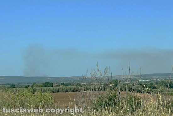 Monte Romano - Vasto incendio