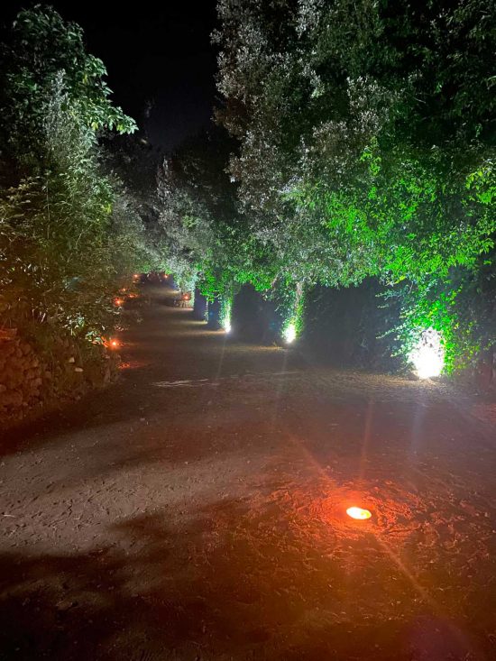 Blera - La manifestazione "Centro storico in festa - borgo in fiore"
