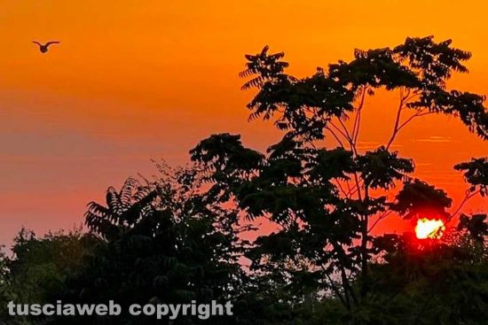 Tramonto a Vetralla