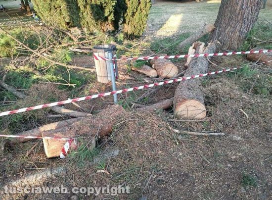 Parco degli alberi cadenti della Quercia, ieri intervento dei vigili del fuoco