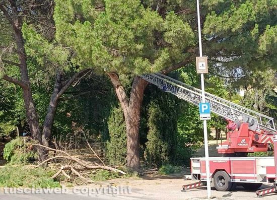 Parco degli alberi cadenti della Quercia, ieri intervento dei vigili del fuoco