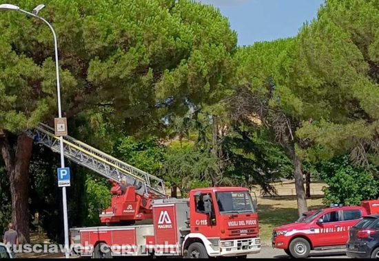 Parco degli alberi cadenti della Quercia, ieri intervento dei vigili del fuoco