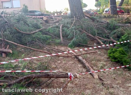 Parco degli alberi cadenti della Quercia, ieri intervento dei vigili del fuoco