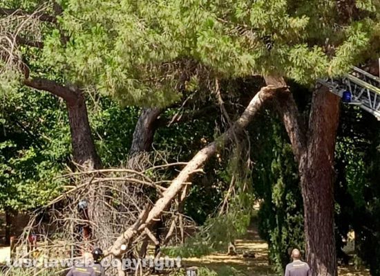 Parco degli alberi cadenti della Quercia, ieri intervento dei vigili del fuoco