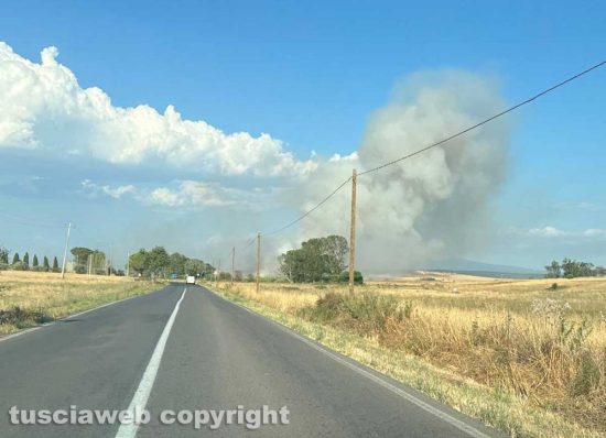 Tuscania - Incendio sulla Tarquiniese