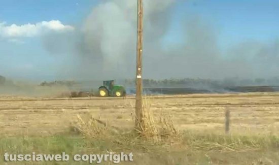 Tuscania - Incendio sulla Tarquiniese