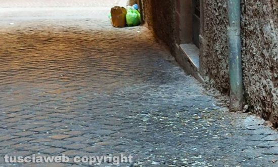 Viterbo - Escrementi di cani e piccioni in Via Sant'Egidio 