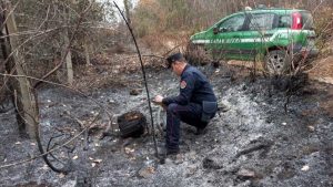 Carabinieri forestali - Incendi boschivi