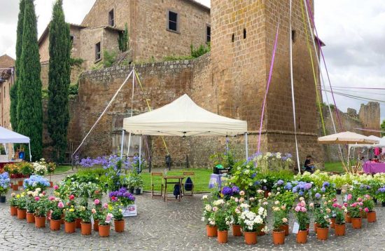 Tuscania - Festa della Lavanda