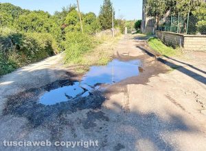 Vetralla - Perdita d'acqua in via Valle Carbona