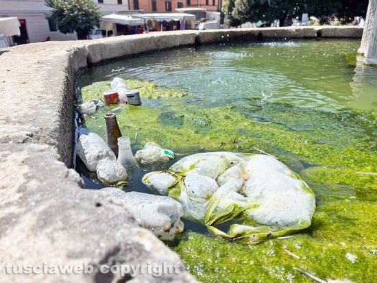 Viterbo - La fontana di piazza della Rocca