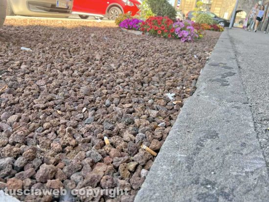 Viterbo - L’aiuola posacenere di piazza della Rocca
