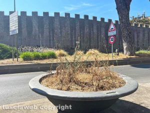 Viterbo - Piazzale Gramsci