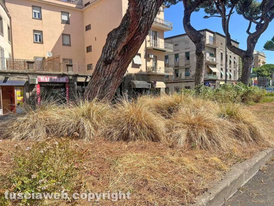 Viterbo - Piazzale Gramsci