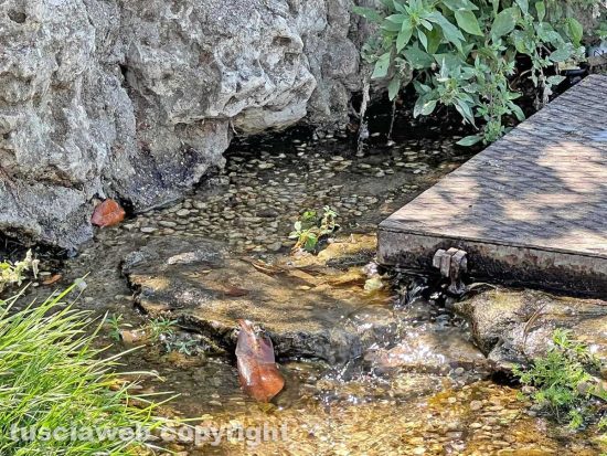 Viterbo - La perdita d'acqua a Pratogiardino Lucio Battisti