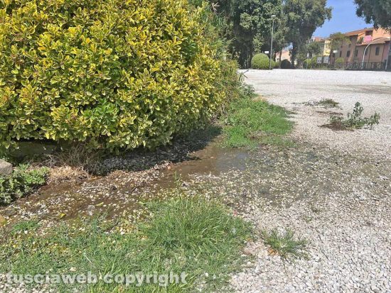 Viterbo - La seconda d'acqua a Pratogiardino Lucio Battisti
