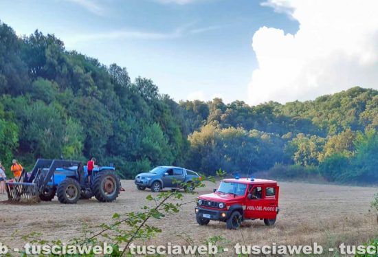 Capodimonte - Incendio vicino alla spiaggia di Bisenzio