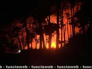 Bagnoregio - Fiamme alla pineta di Campolungo