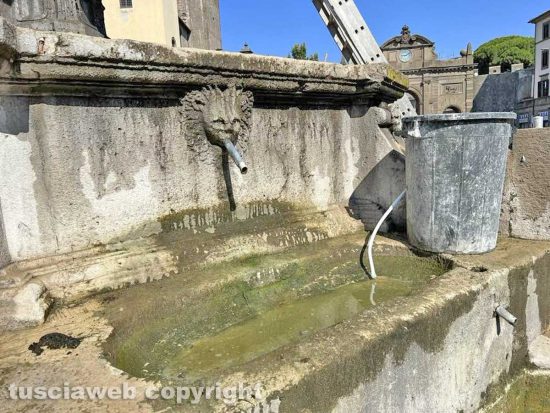 Viterbo - La pulizia della fontana di piazza della Rocca