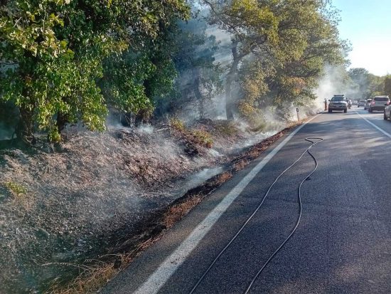 Tarquinia - Bosco in fiamme lungo l'Aurelia bis