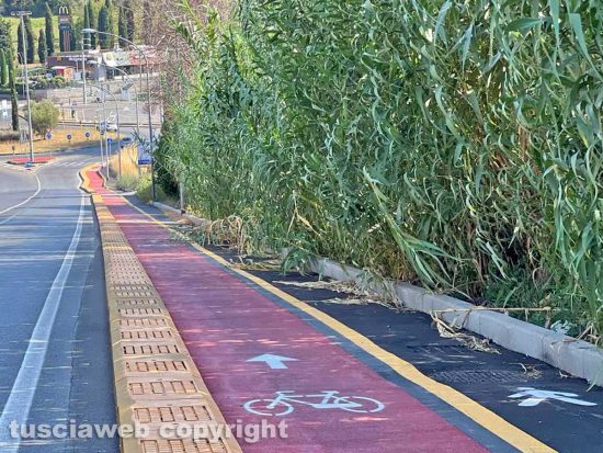 Viterbo - Pista ciclabile con erba