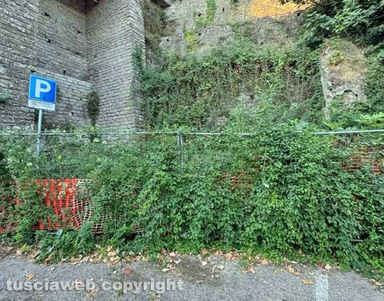Viterbo - Il muraglione di Sant'Antonio
