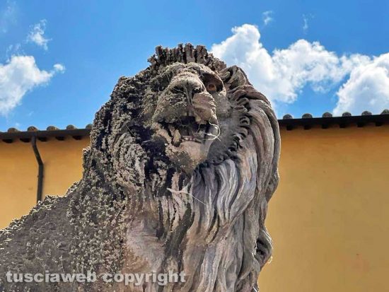 Viterbo - La fontana di piazza delle Erbe