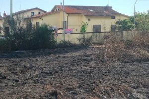 Corchiano - Incendio a bordo strada sulla Sp 29