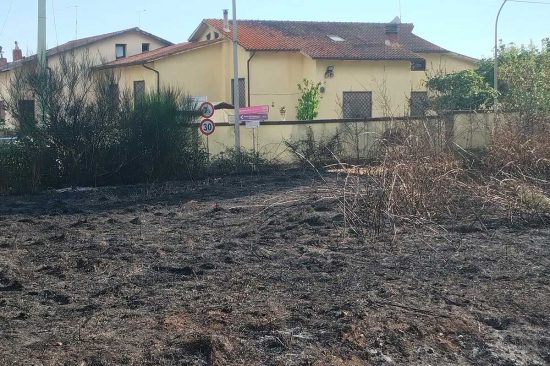 Corchiano - Incendio a bordo strada sulla Sp 29