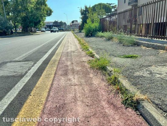 Viterbo - Pista ciclabile con erba
