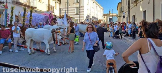Il Santissimo Salvatore a Larino in Molise per il riconoscimento Unesco