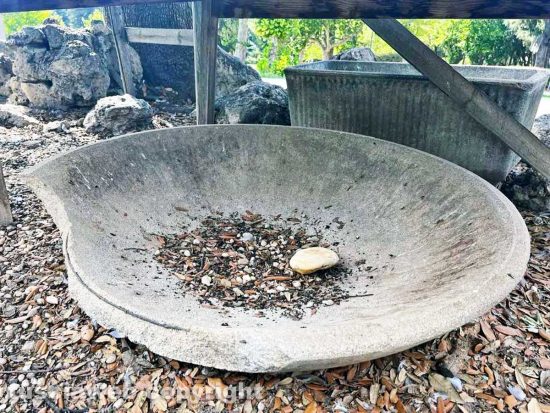 Viterbo - Pratogiardino - Il tozzo di pane per oche e germani