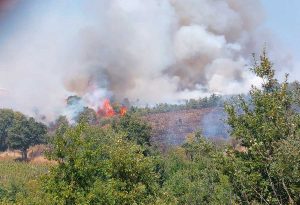 Incendio boschivo tra Blera e Civitella Cesi