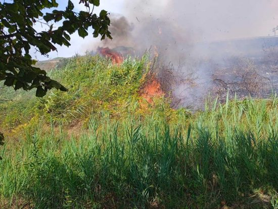 Viterbo - Incendio vicino le terme sulla Cassia sud