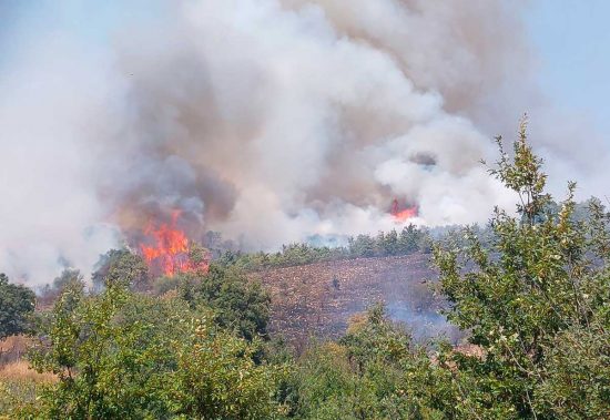 Incendio boschivo tra Blera e Civitella Cesi