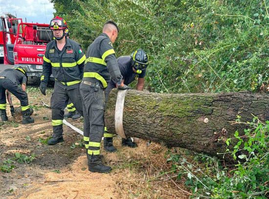 Fabrica di Roma - Grande quercia sradica e cade su via Falerina