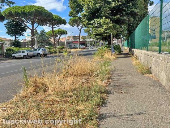 Viterbo - Erba alta e degrado nella zona della stazione di porta Romana