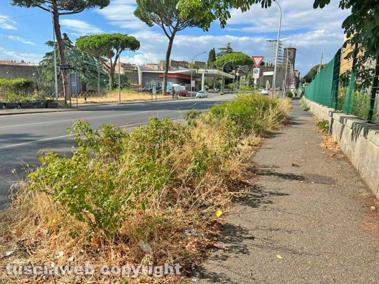 Viterbo - Erba alta e degrado nella zona della stazione di porta Romana