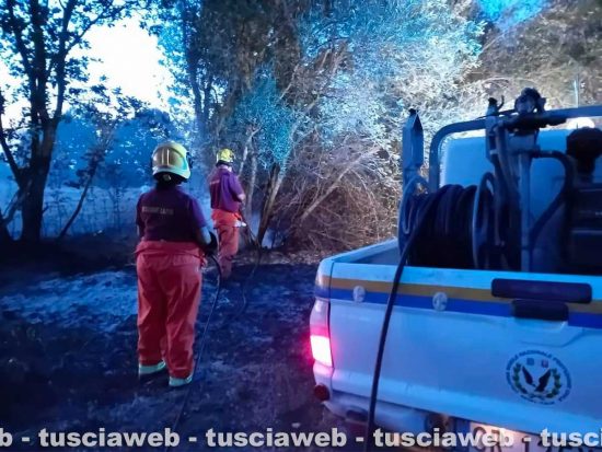 Blera - Sterpaglie e uliveti in fiamme