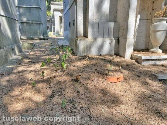 Viterbo - Il degrado e l'abbandono del cimitero San Lazzaro