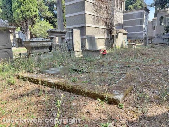 Viterbo - Il degrado e l'abbandono del cimitero San Lazzaro