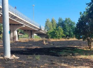 Viterbo - Vasto incendio in strada Ca' l'aglio