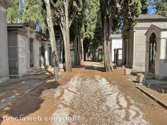 Viterbo - Il degrado e l'abbandono del cimitero San Lazzaro