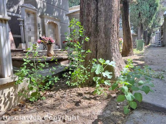 Viterbo - Il degrado e l'abbandono del cimitero San Lazzaro