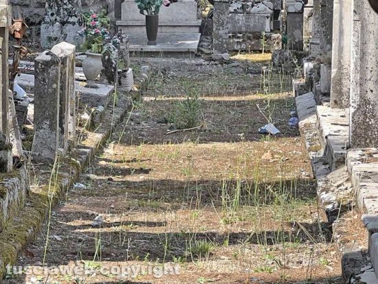 Viterbo - Il degrado e l'abbandono del cimitero San Lazzaro